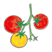 くだもの・野菜