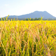 いなほ総合農園（栃木県塩谷町）