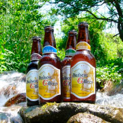 久米桜麦酒/大山Gビール（鳥取県伯耆町）