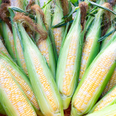 peakfarm（愛媛県西条市）