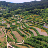 土佐天空の郷ショップ（高知県本山町）