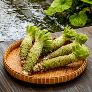 藤屋わさび農園（長野県安曇野市）