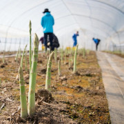 美幌観光物産協会（北海道美幌町）