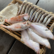 柿谷商店（島根県出雲市）