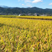 鍋屋ファーム（愛媛県西条市）