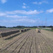 curryriceno（鳥取県大山町）