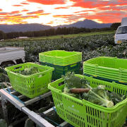 Hiraide Farm（長野県小海町）