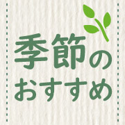 季節のおすすめ