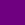 PANSY