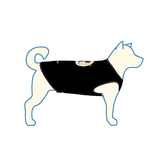 着用イメージ