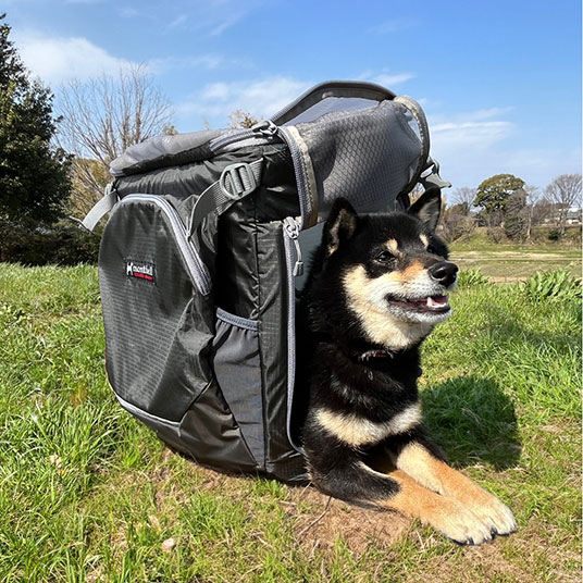 サイドのメッシュパネルを開けると簡易ケージとしても使用できます。モデル犬：体重5kg／パックL使用