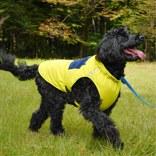 写真のサイズはLargeです。モデル犬：体重27kg・背丈59cm・胸囲77cm／60サイズ着用
