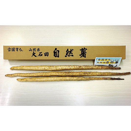 － ()の画像を拡大する