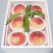 山梨県産　古屋農園の桃 2kg（他品番との同時購入不可）【出荷時期：7月中旬より順次出荷 / 販売時期：8月10日頃まで】
