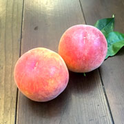 山梨県産　古屋農園の桃 5kg（他品番との同時購入不可）【出荷時期：7月中旬より順次出荷 / 販売時期：8月10日頃まで】