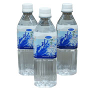 立山四季の水 500ml（24本入り）