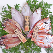 島根県沖地魚一夜干「大黒」