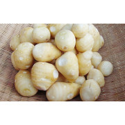大野さといも（アライコ）500ｇ×6袋