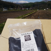 雪室（ゆきむろ）熟成珈琲 粉200g 簡易包装