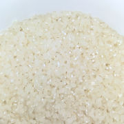 冷めても美味しい「あいちのかおり」白米5kg