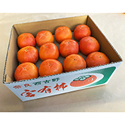 【訳あり】富有柿たっぷり10kg【出荷時期:11月上旬より順次/販売期間:12月上旬まで】