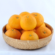 【訳あり】甘夏家庭用8kg（他商品との同時購入不可）【出荷時期：4月上旬頃より順次出荷】