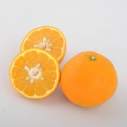 【訳あり】伊予柑8kg（他商品との同時購入不可）【出荷時期：1月上旬頃より順次出荷 / 販売時期：2月中旬頃まで】