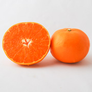 【訳あり】せとか　家庭用3kg【出荷時期：2月下旬より順次出荷】