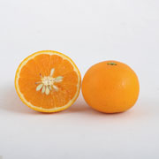 清見オレンジ　贈答用4kg（他商品との同時購入不可）【出荷時期：3月上旬より順次出荷】