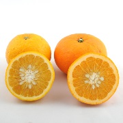 【訳あり】紅甘夏・甘夏セット 家庭用8kg（他商品との同時購入不可）【出荷時期：4月中旬頃より順次出荷】