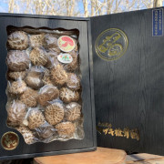 原木乾シイタケ　伊勢どんこ
