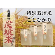令和6年産 特別栽培米 こしひかり10kg【ご注文は１回20kgまで】