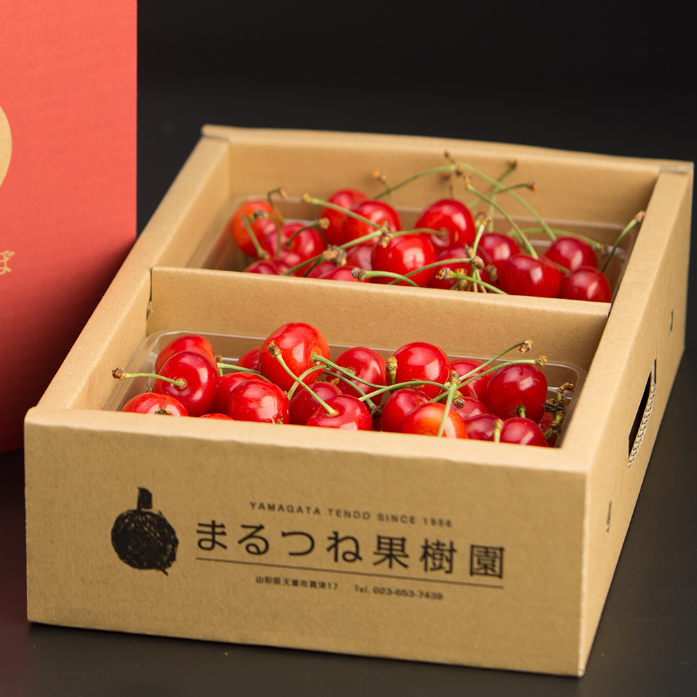 朝採り直送! 山形県産サクランボ 佐藤錦（秀品）600g箱 L～2Lサイズ【お届け時期：6月中旬～下旬】