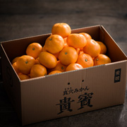 真穴みかん「貴賓」小粒3㎏（家庭用）（他商品との同時購入不可）【出荷時期：11月下旬より / 販売期間：12月中旬まで】