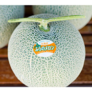 富良野メロン2玉セット（他品番との同時購入不可）【出荷時期：7月下旬より順次出荷 / 販売時期：8月15日まで】