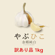 訳あり にんにく（やぶひこ）1㎏