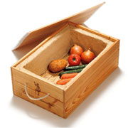 左官職人が考えた小さな野菜蔵（完成品）