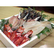 出雲日御碕名物　季節の干物おまかせセット【出荷：1週間～10日程度で発送】