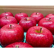 【訳あり】 サンふじ 2.5kg（他商品との同時購入不可）【出荷時期：11月中旬より順次出荷　販売時期12月末頃まで】