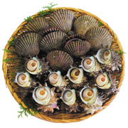 海の恵み（サザエとヒオウギ貝のセット）
