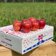 完熟葉取らずサンふじ5kg（他商品との同時購入不可）【出荷時期：11月上旬より / 販売時期：1月下旬頃まで】