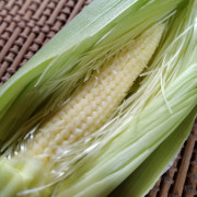 皮付きヒゲ付き！新鮮ヤングコーン【出荷時期：5月中旬より順次出荷】