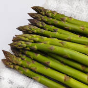 春どり特大アスパラ1kg【出荷時期：5月上旬より順次出荷 / 販売時期：6月上旬まで】