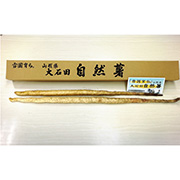 雪国育ちの自然薯  １kg