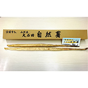 雪国育ちの自然薯  1.5kg