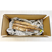 雪国育ちの自然薯  カット品
