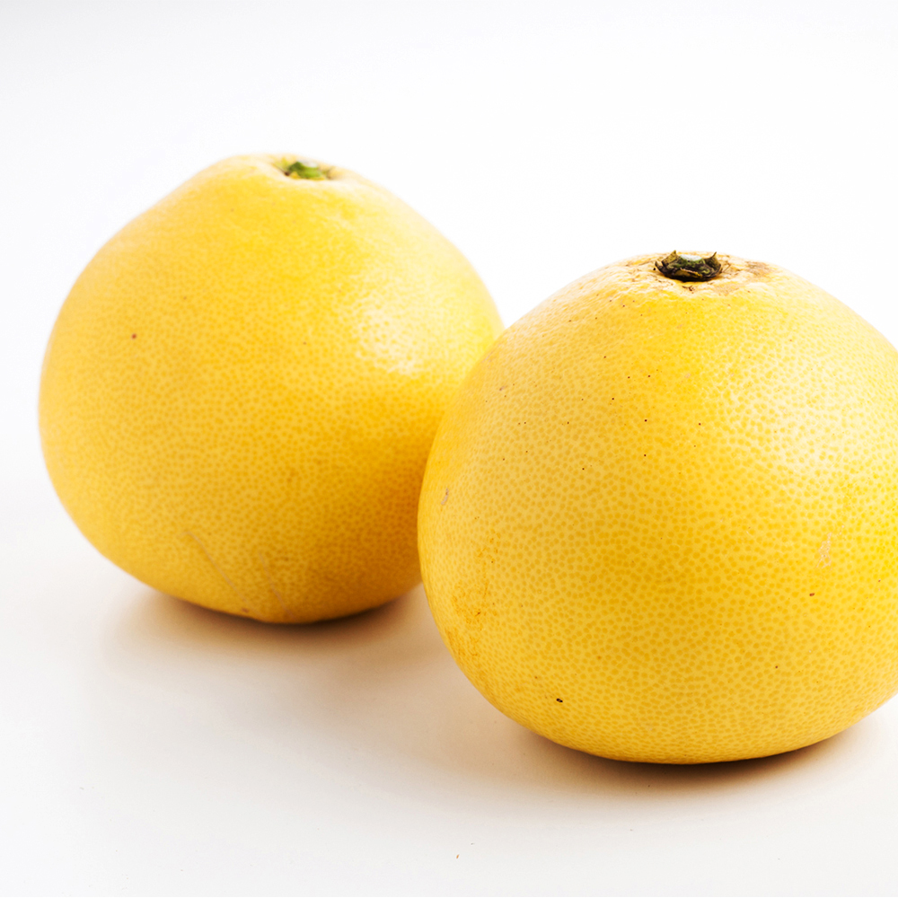【訳あり】土佐文旦5kg（他商品との同時購入不可）【出荷時期：2月中旬頃より順次出荷/販売時期：～3/31まで】