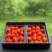 紅秀峰秀品2Lサイズ約600g B-02※他品番との同時購入不可【お届け時期：6月下旬～7月上旬 / 販売期間：6月15日まで】