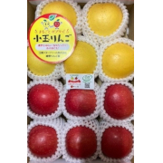 まるごとガブリっ！小玉・食べきりサイズおまかせミックス2kg