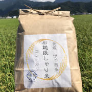 令和6年度産 石鎚銀しゃり米（コシヒカリ）5kg（他品番との同時注文不可）【出荷まで一週間程度かかります】